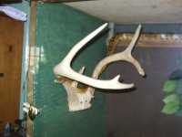 S2010077.JPG