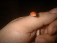 07-16-04 010W.jpg
