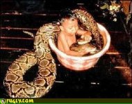 snakeboy.jpg