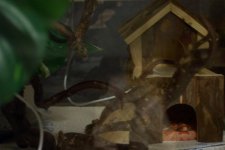 House.jpg