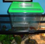 feeding tank.jpg