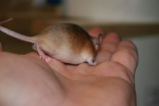 IMG_2770.jpg