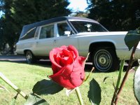 20080828 009a.jpg