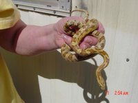 Picture 906.jpg