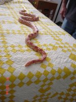 DSC01551.JPG