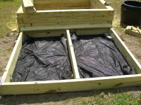 Pond Day_04 001.jpg