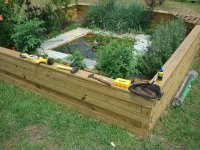 Pond Day_04 003.jpg