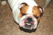 DSC_0001.JPG