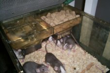 004 food and water.JPG