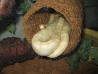 IMG_0354 small.JPG