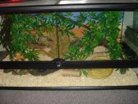 april4 001.JPG