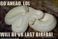 goaheadlolw128637894155499055.jpg