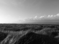 P6290007 B+W.jpg