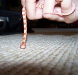 100_0847.jpg
