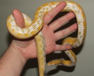 022508 florence fs (2).JPG