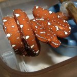 GTP-J 04-09-08 a.jpg