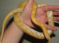 022508 florence fs (13).JPG