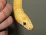 022508 florence fs (15).JPG