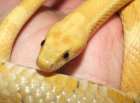 022508 florence fs (25).JPG