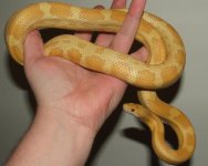 022508 florence fs.JPG