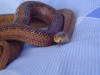 DSC01327.JPG - resize 2.jpg