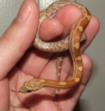 112806 florence (3).JPG