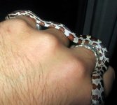 IMG_1236 small.JPG