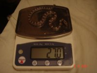 Charlie weight.JPG