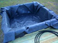 Pond Day_05 002.jpg