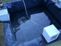 Pond Day_05 003.jpg