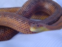 DSC01328.JPG - resize 3.jpg