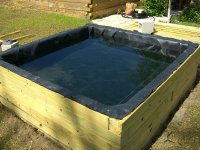 Pond Day_05 004.jpg