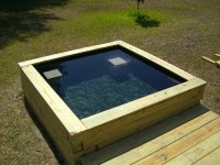 Pond Day_05 005.jpg