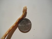 IMG_2332.jpg