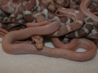 IMG_6637.JPG