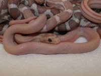 IMG_6640.JPG