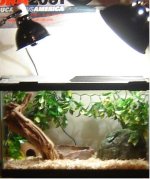 downstairs tank.JPG