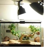 dads tank.JPG