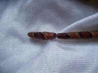 DSCF1102.JPG