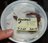 resizeDSC_0516.jpg