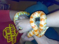 05092007021.jpg