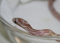 Reet090607-1.jpg