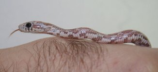 Reet090607-3.jpg