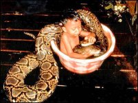 Thailand snake.jpg