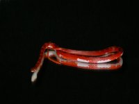 DSCN9373.JPG