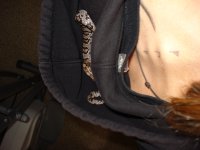 -20081002_Fenrir3.jpg