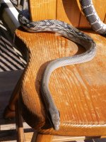 PICT3337.jpg