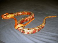 IMG_4052.jpg
