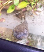 100_2941.JPG
