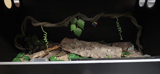 DSC_5886.JPG